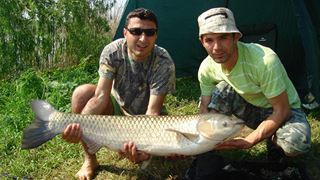 Tâncăbeşti 23 - 24 aug.